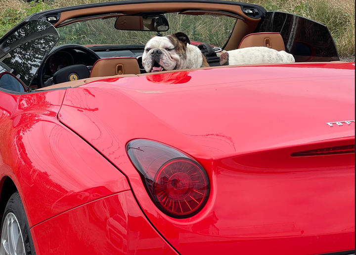 비치스 잠봉뵈르 점검 결과 보고서